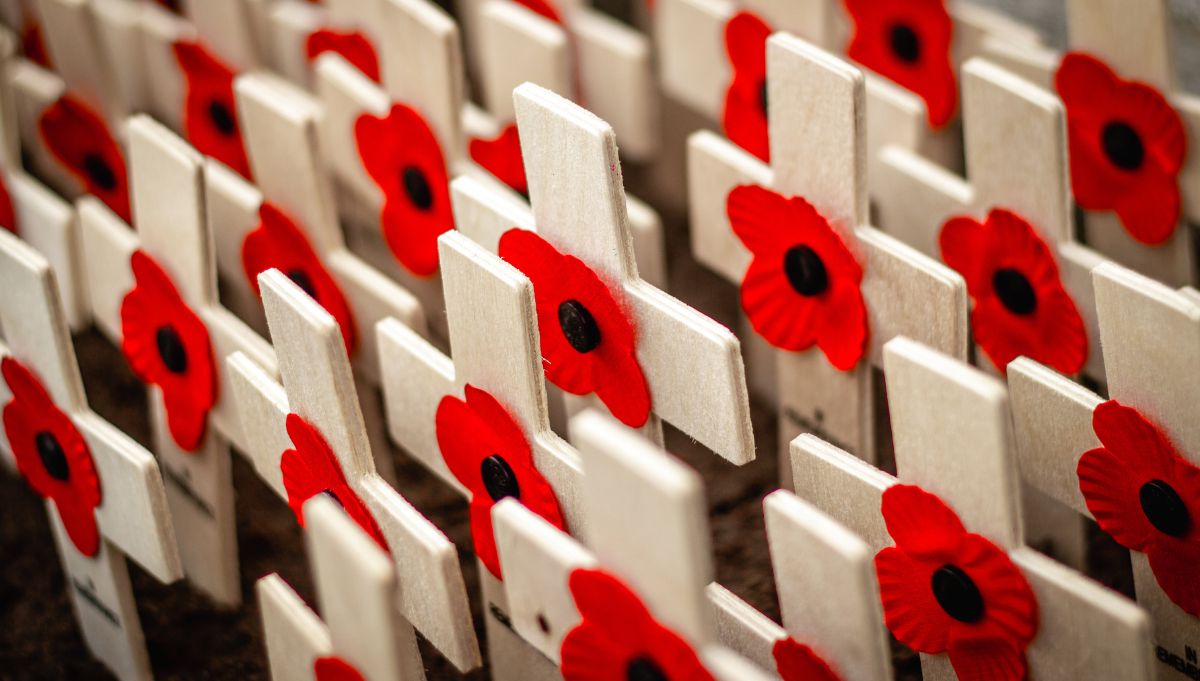 Remembrance Day, Poppy Day