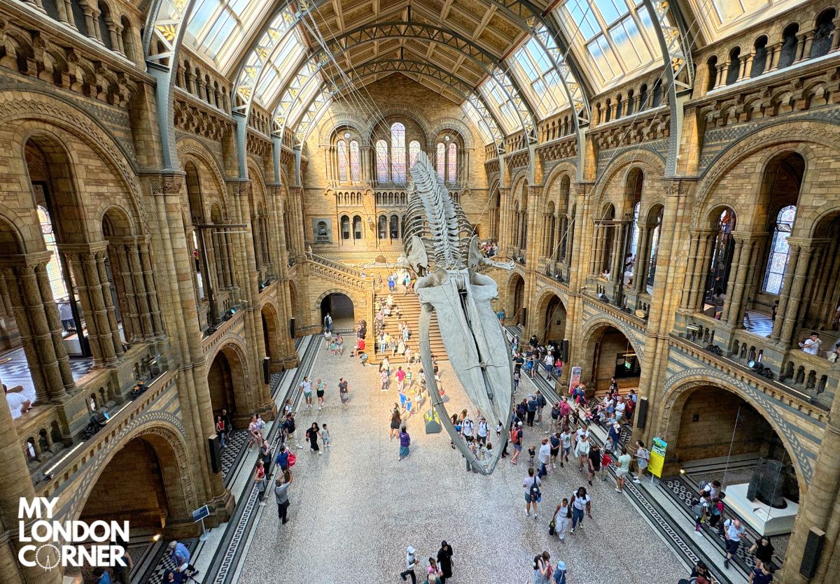 Tour Privato del Natural History Museum